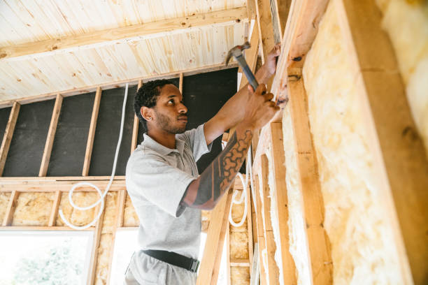 Best Insulation Inspection Services  in Timberlane, IL