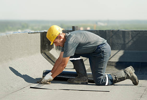 Best Insulation for New Construction  in Timberlane, IL