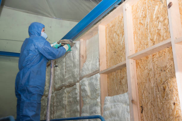 Best Blown-in Insulation  in Timberlane, IL