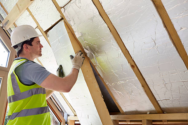 Best Blown-in Insulation  in Timberlane, IL
