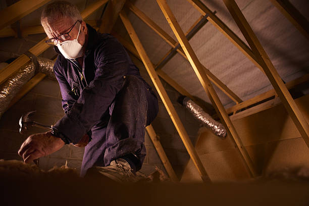 Best Insulation Inspection Services  in Timberlane, IL
