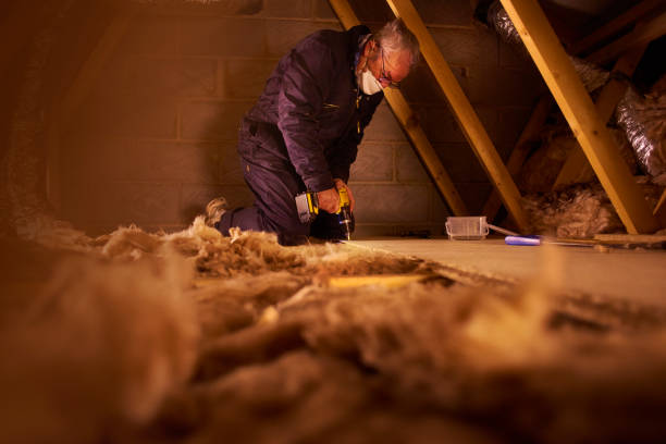 Insulation Inspection Services in Timberlane, IL
